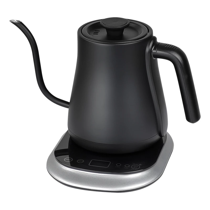 Electric gooseneck kettle with thermometer | DESUNG Appliance